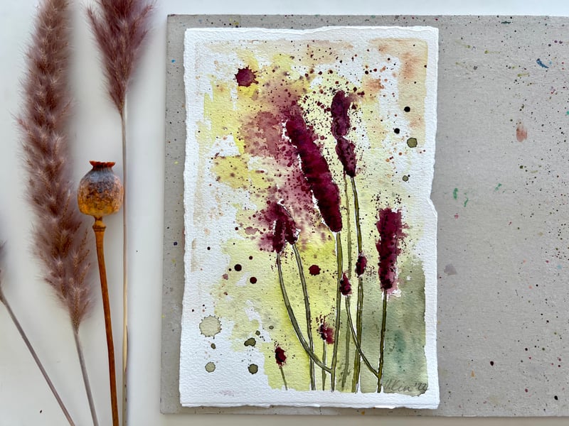 Botanical illustrations