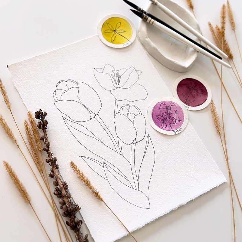 Free Outlines