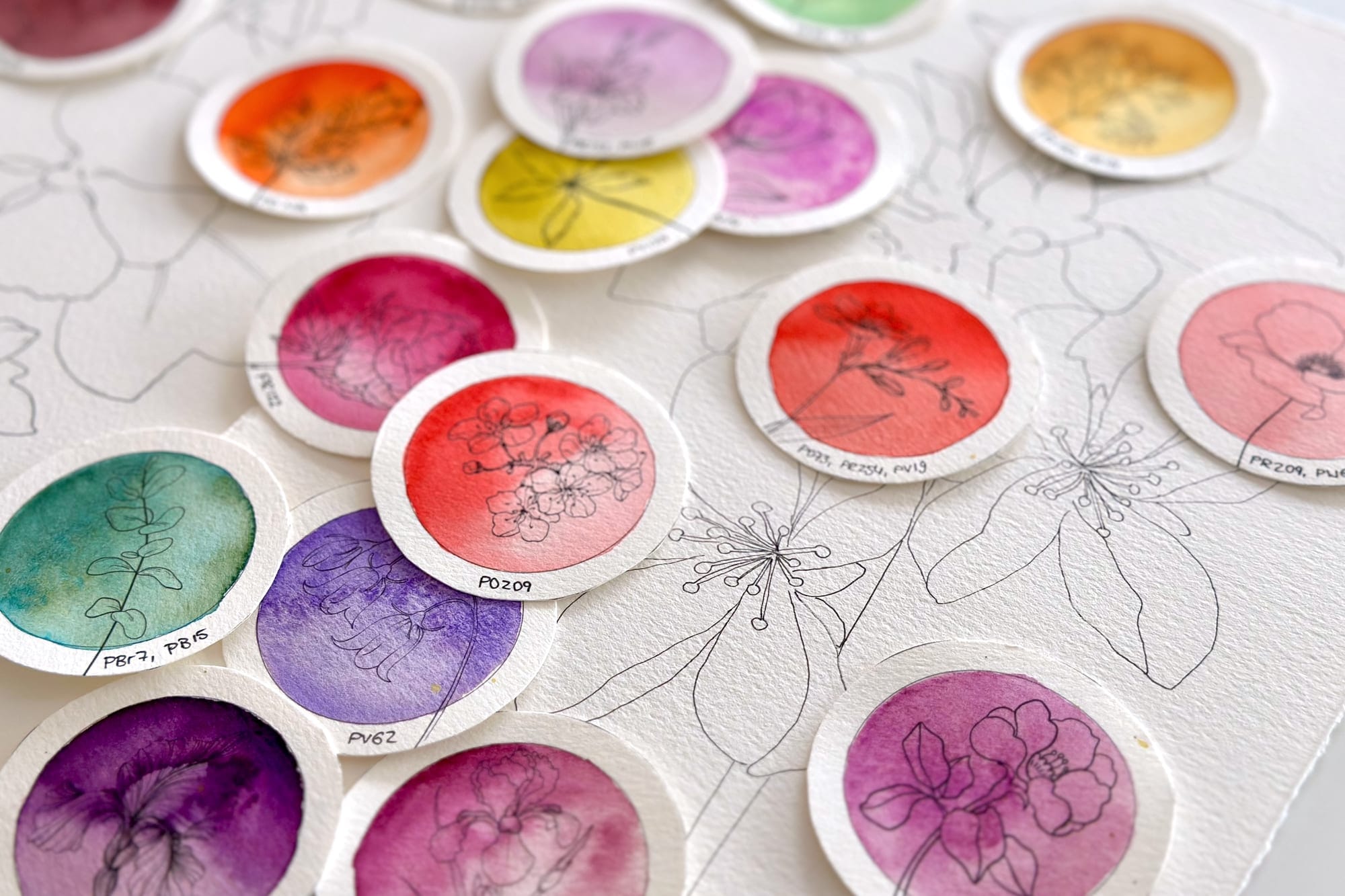 Botanical swatch cards with flower drawings and pigment labels