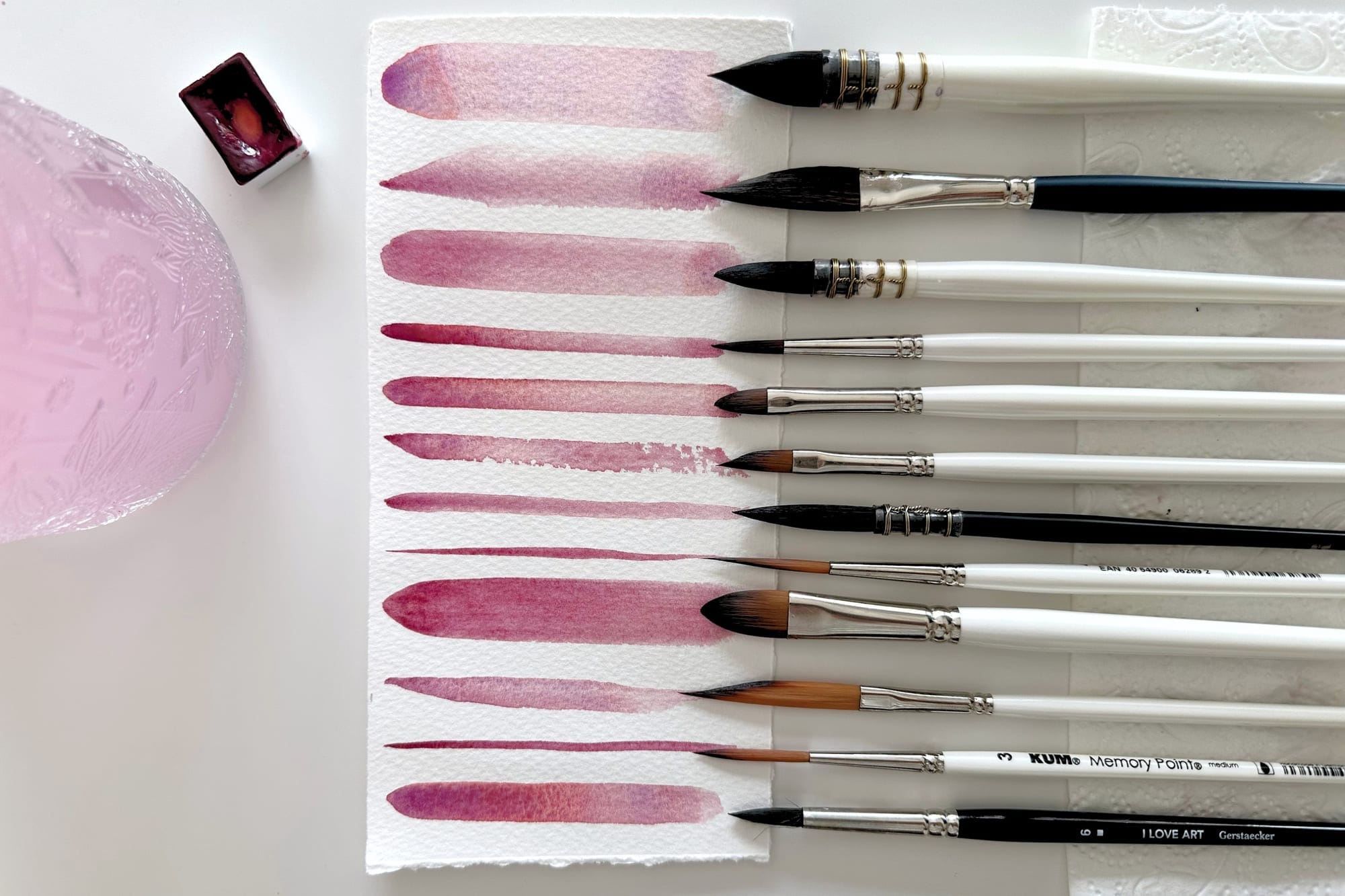 Different brush shapes next to their brushstrokes in pink