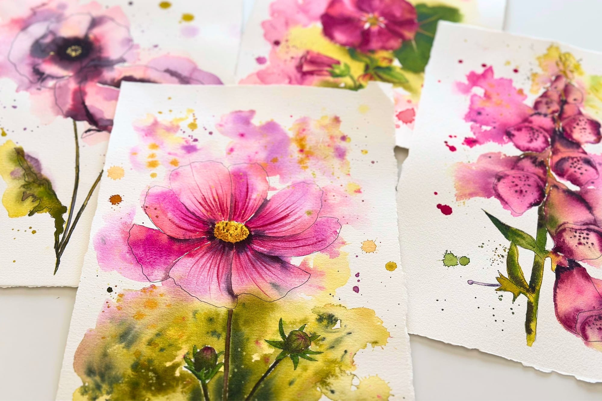 Watercolor of a pink cosmos flower