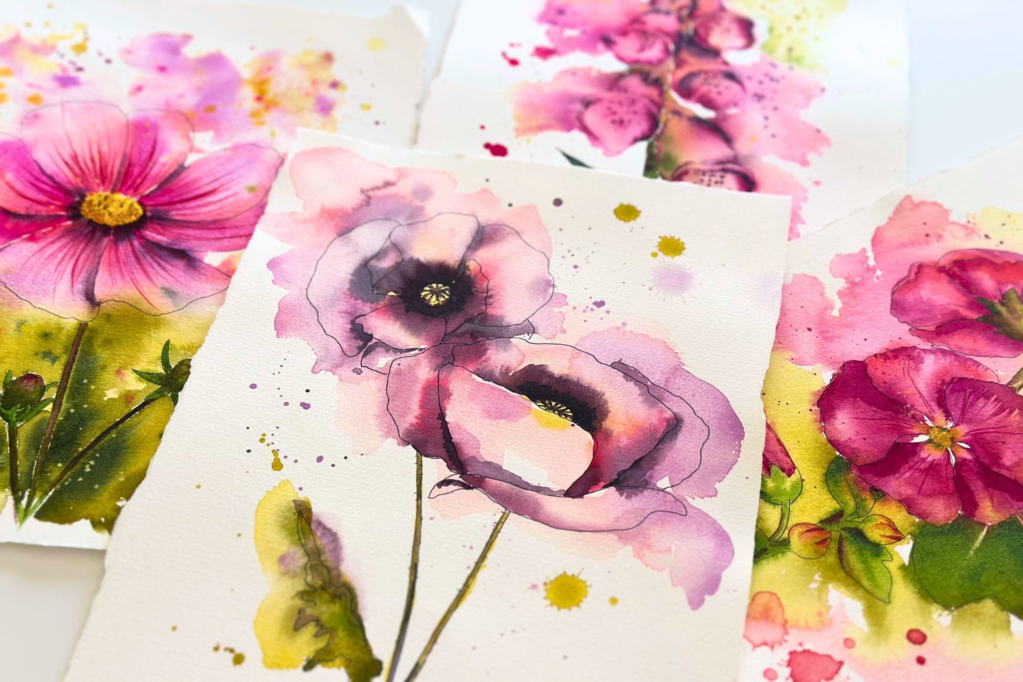 Watercolor of a poppy in soft pink tones