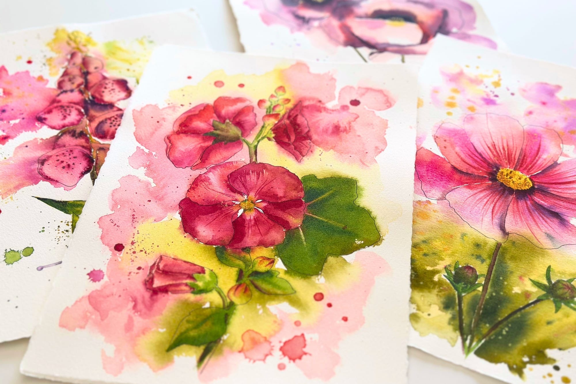 Watercolor of a hollyhock in pink and red