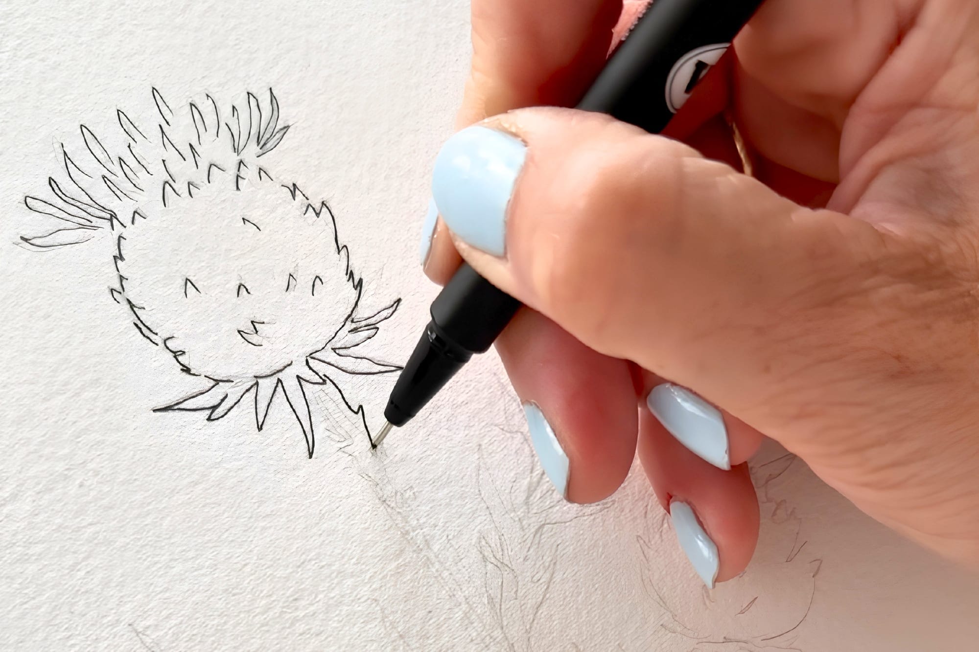 My hand drawing the spear thistle outline with a fineliner