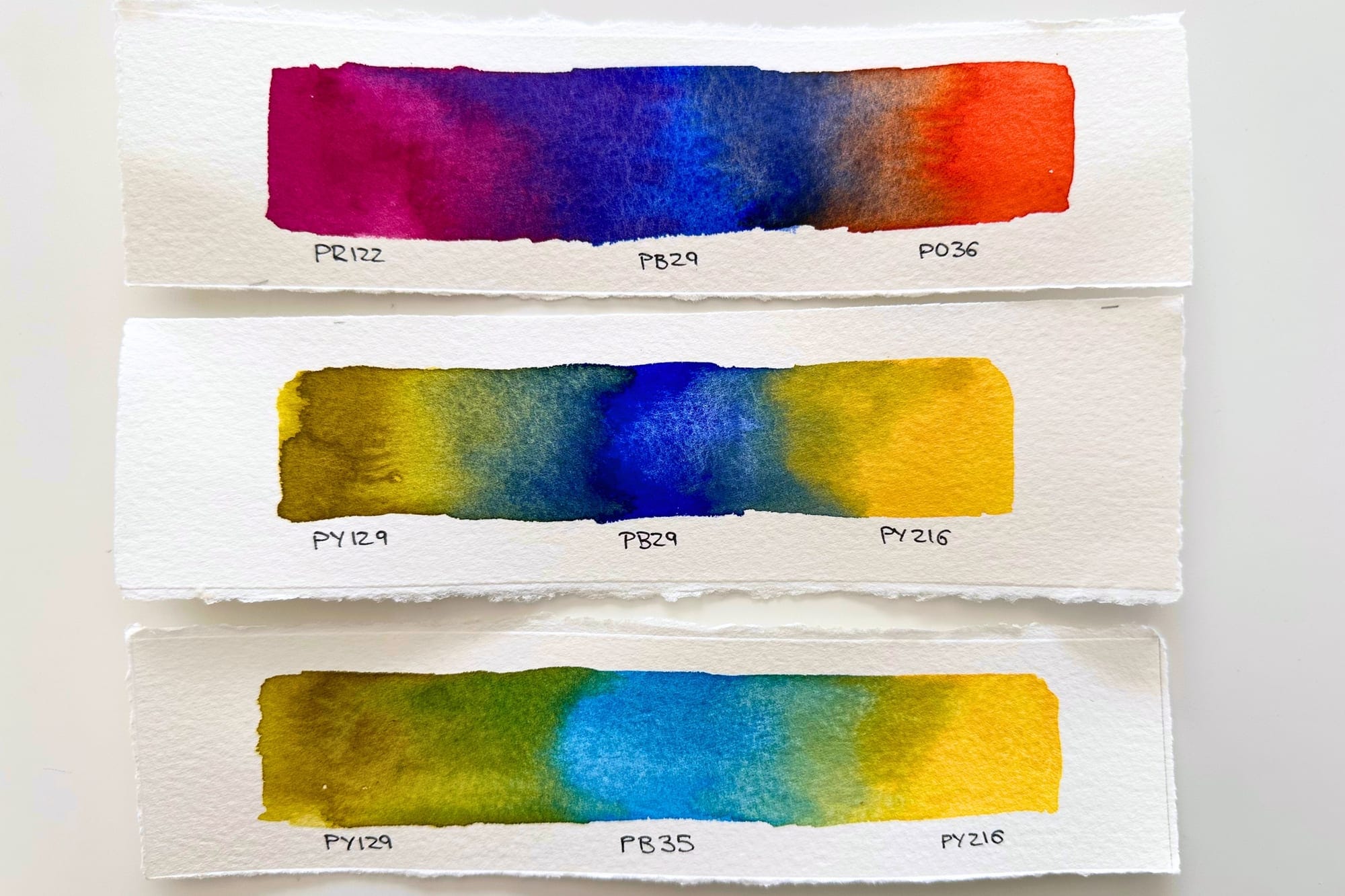 Comparison of warm and cool yellows and blues and the greens mixed from them
