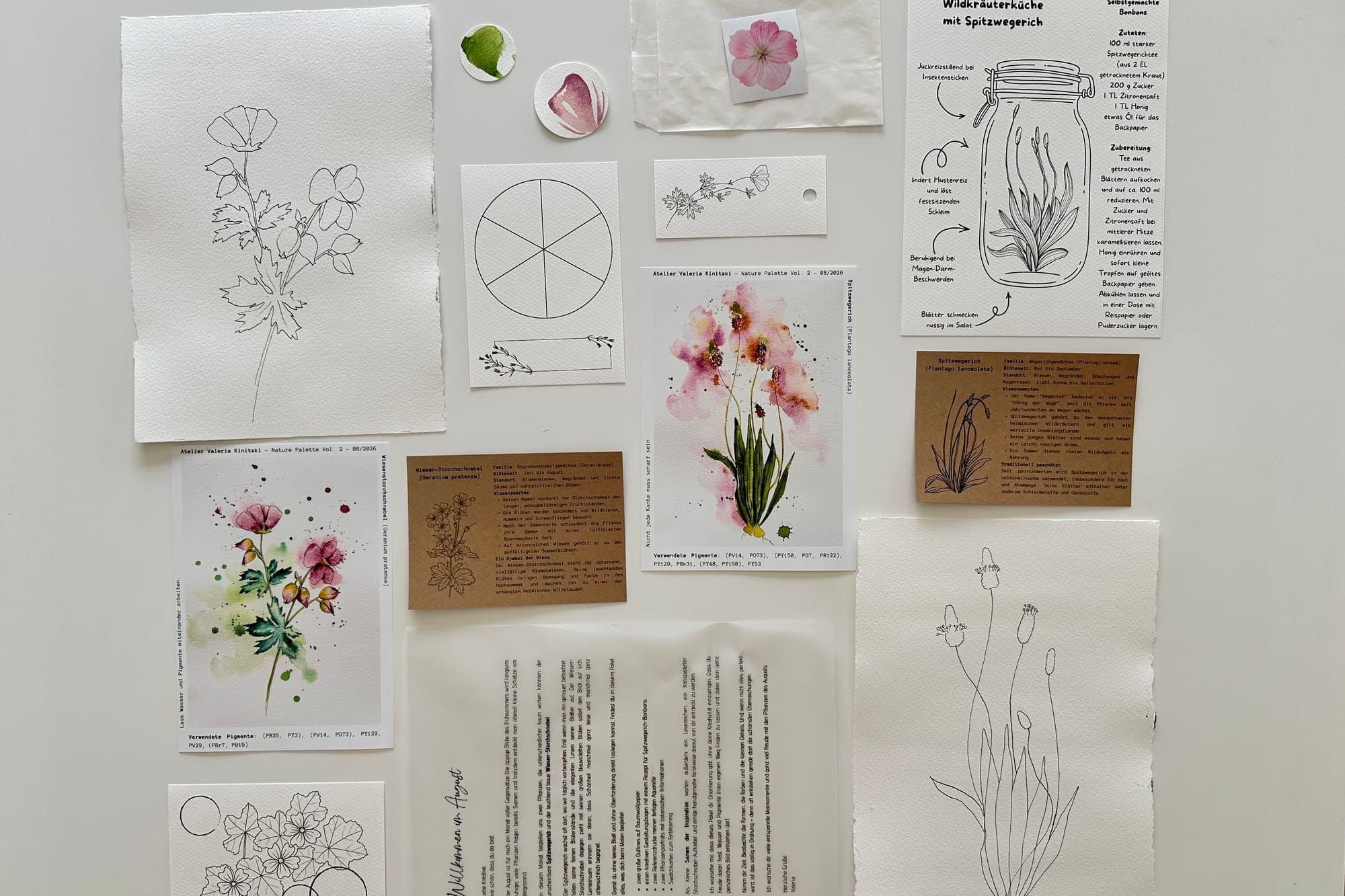 Overview of the August package: templates, reference prints, plant portraits, swatch cards and small extras