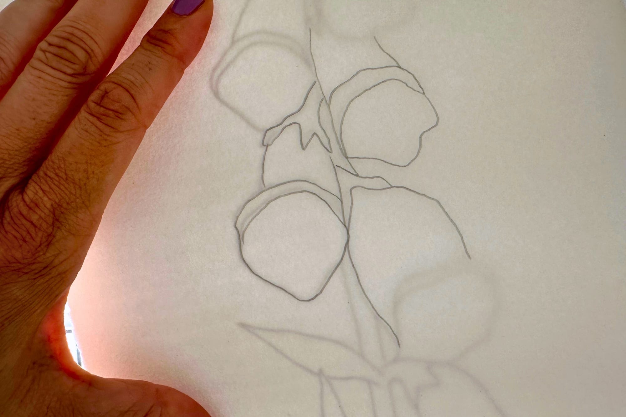 Template and watercolor paper against a bright window, tracing the lines in pencil