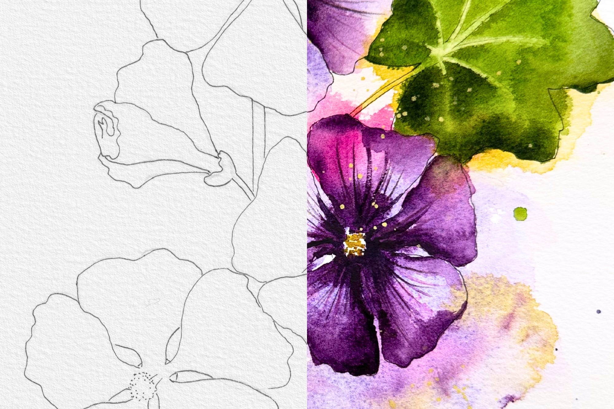 On the left the bare outline, on the right the finished watercolor with color running over the lines