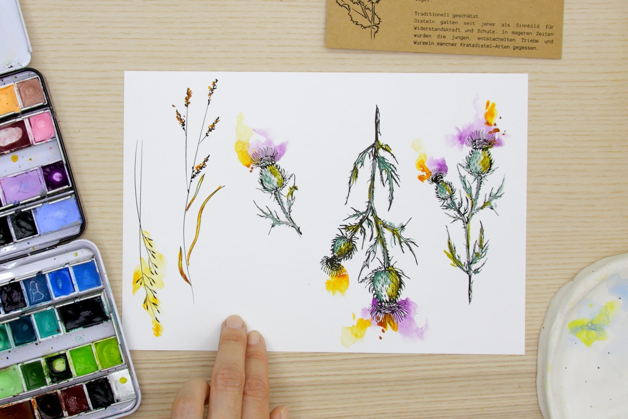 The small thistles on the design sheet, freshly colored in