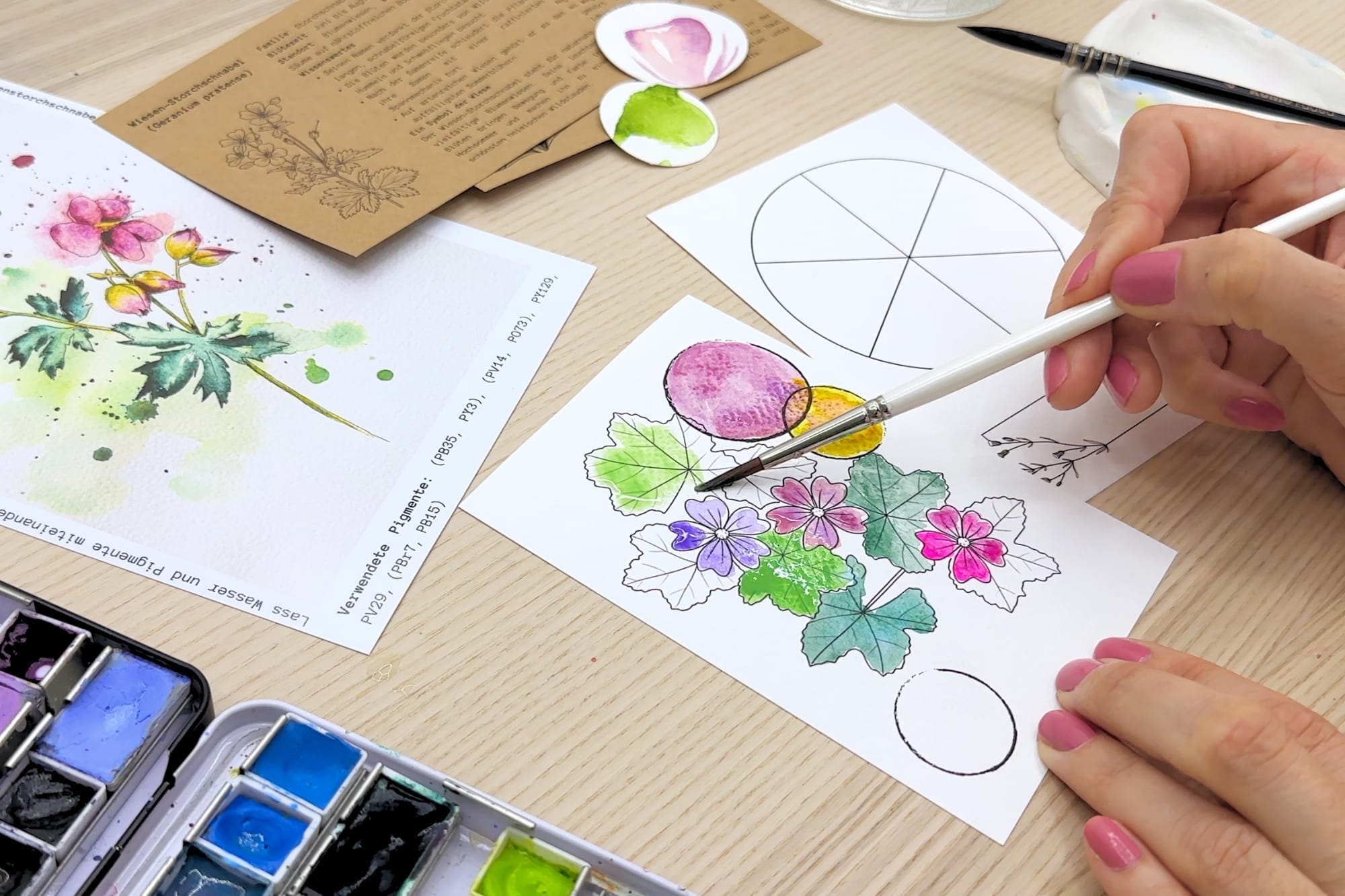 The swatch card with the meadow cranesbill motif being colored in