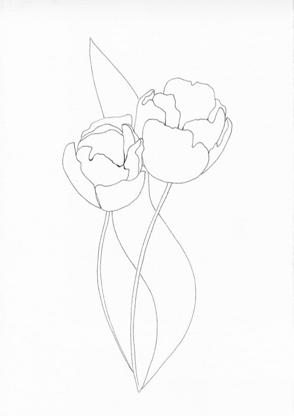 Nature Palette Inspiration Duo - Tulips #02