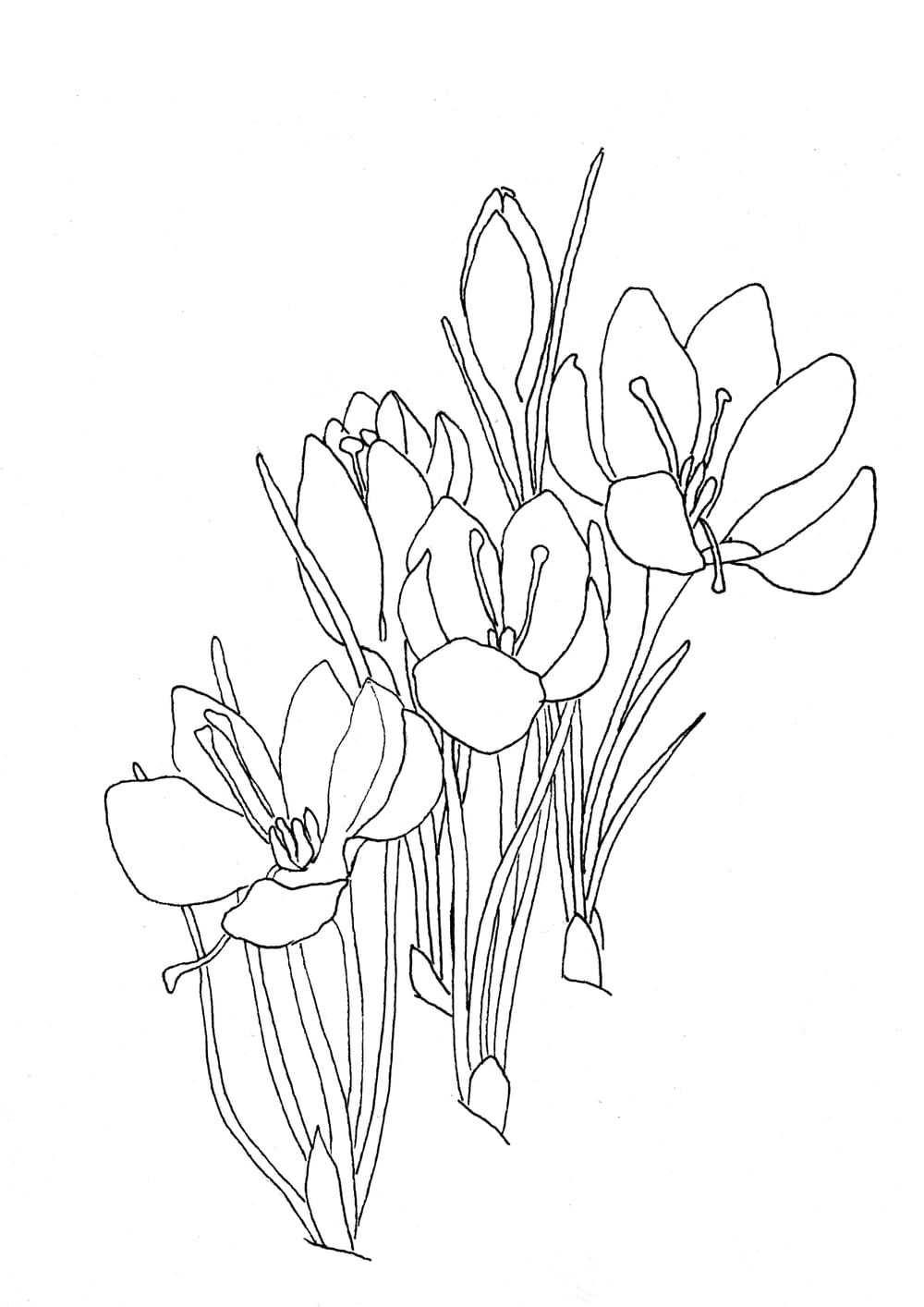 Winter Flowers #02