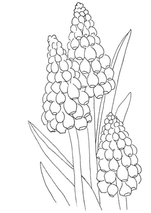 Winter Flowers #01 Malvorlage