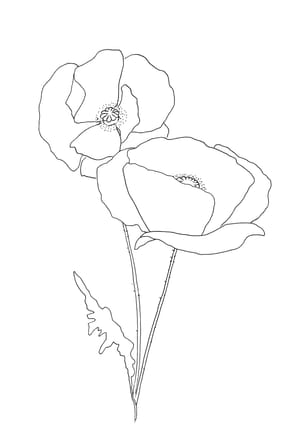 Poppy Malvorlage