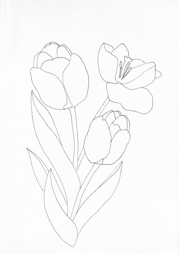 Nature Palette Inspiration Duo - Tulips #01 Malvorlage